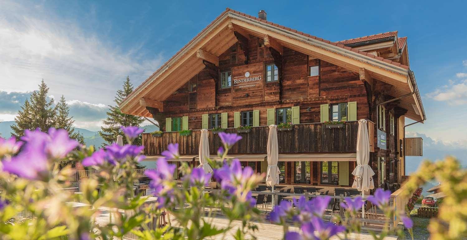 Rinderberg Swiss Alpine Lodge زويسمن المظهر الخارجي الصورة