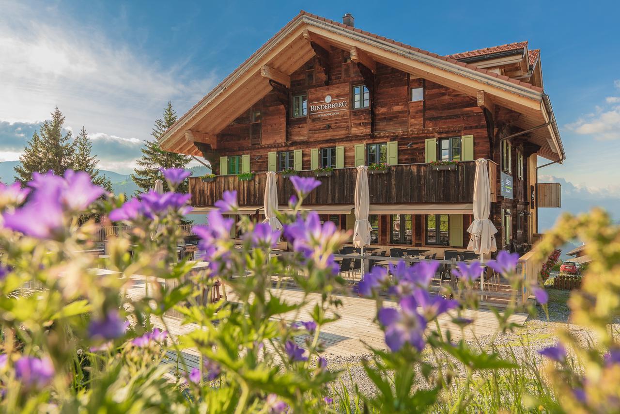 Rinderberg Swiss Alpine Lodge زويسمن المظهر الخارجي الصورة