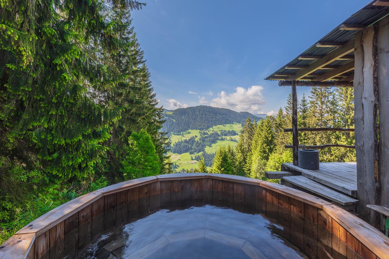 Rinderberg Swiss Alpine Lodge زويسمن المظهر الخارجي الصورة
