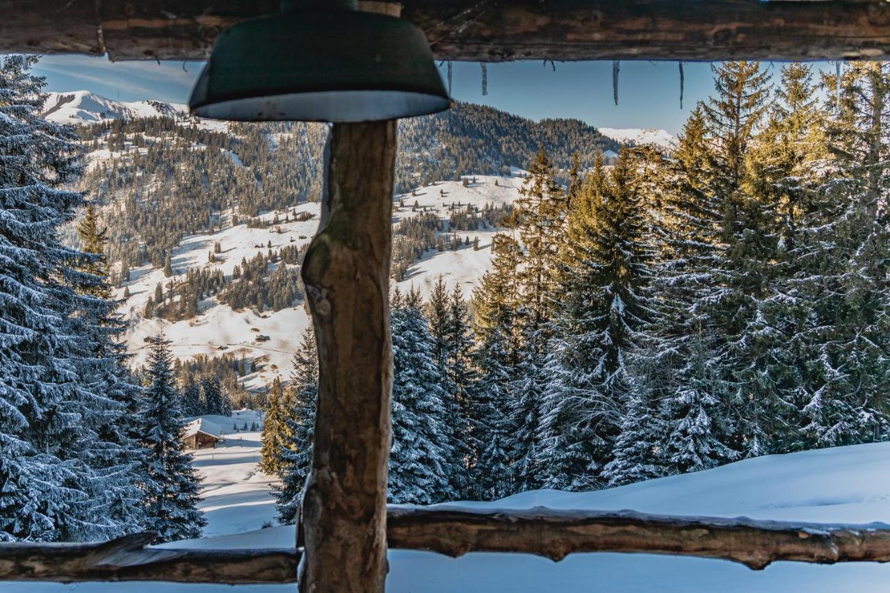 Rinderberg Swiss Alpine Lodge زويسمن المظهر الخارجي الصورة